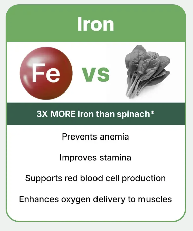 <h3><strong>Iron</strong></h3>